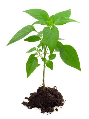 Amaze-use-application