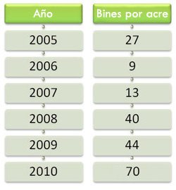 Amaze Caso de Estudio