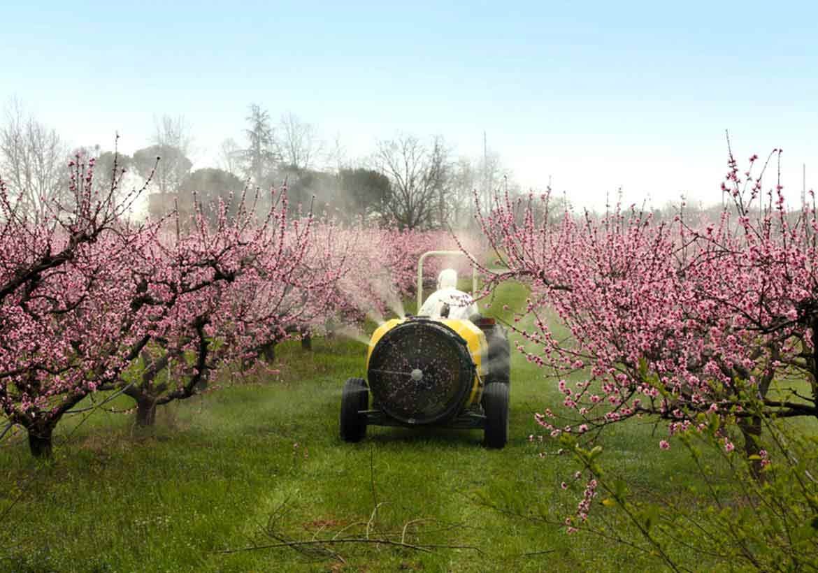 Amaze Use and Application 