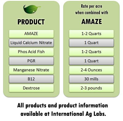 application-rates-amaze