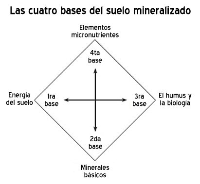 Las cuatro bases de suelo mineralizado