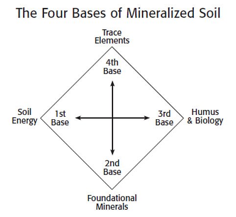 four bases of soil mineralization